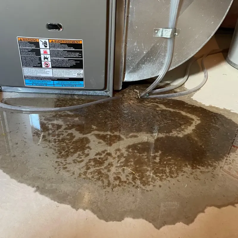 Appliance Leak Cleanup in Honaunau-Napoopoo, HI