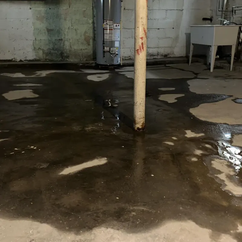 Emergency Water Extraction And Removal in Honaunau-Napoopoo, HI